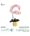 GloboStar® Artificial Garden SALMON PINK ORCHID 21129 Διακοσμητικό Φυτό Φούξια Ορχιδέα Υ43cm